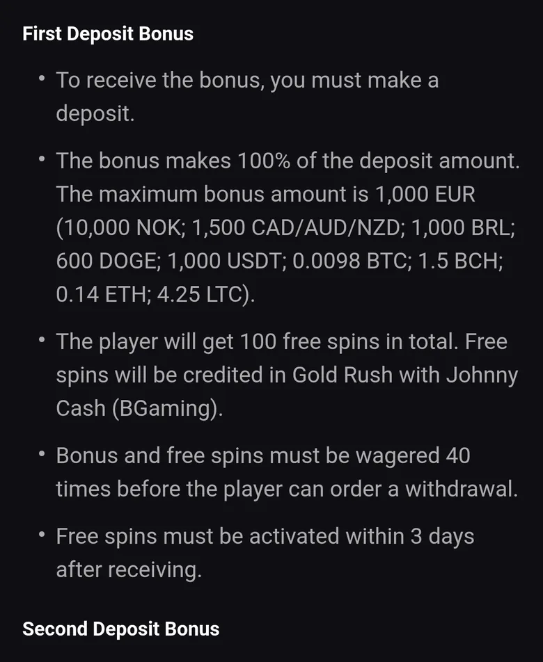 Rooster.bet bonus terms describing the first deposit bonus with a 1,000 EUR maximum